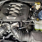 J&L 2024 Ford Mustang 5.0L Oil Separator 3.0 PCV Side - Clear Anodized