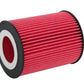 K&N Oil Filter OIL FILTER AUTOMOTIVE