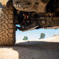 DV8 Offroad 2024+ Toyota Tacoma A-Arm Skid Plates