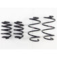 RS-R 09+ Nissan GT-R TI2000 Down Sus Springs