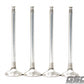 GSC P-D Honda B-Series B16A/B17A/B18C Chrome Alloy Exhaust Valve 28mm Head - 6mm Stem - Single