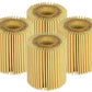 afe PROGUARD Oil Filter