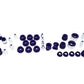 SuperPro Suspension Bushing Kit