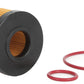 K&N 16-24 Lexus IS300 3.5L V6 / 10-24 Toyota 4Runner 4.0L V6 OIl Filter