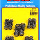 ARP Ford 289-302 / 351 C&W 12pt Oil Pan Bolt Kit