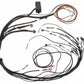 Haltech Mazda 13B EV1 Elite 1000/1500 Terminated Main Harness Only