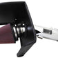 K&N 10-11 Toyota Tundra/Sequoia 4.6L V8 High Flow Performance Intake