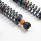 AST 04-10 Renault Megane 2 CUP BM FWD 5100 Street Coilovers w/ Springs