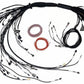 Haltech Nexus R5 LSx Non DBW Terminated Harness