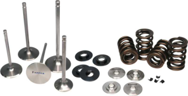 Ferrea 08-09 Honda CRF 250R Single Valve Spring Kit