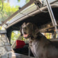 DV8 Offroad 2021-2024 Ford Bronco Dog Barrier
