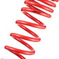 Tanabe DF210 Springs 06-07 GS300