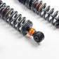 AST 17-21 Hyundai i30N PD 5100 Series Coilovers