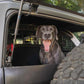 DV8 Offroad 2021-2024 Ford Bronco Dog Barrier