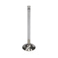 Manley 90-95 Toyota MR2 2.0L DOHC 16 Valve (Turbo 3SGTE) 29mm Stainless Race Master Exhaust Valves