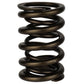 Ford Racing  Replacement Hydraulic Roller Valve Spring - Single (For M-6049-SCJA)