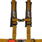 PRP 4.2 Harness with Latch / Link Lap Belt- Gold