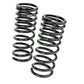 RS-R 03-06 Infiniti G35 4dr (PV35) Down Sus Springs