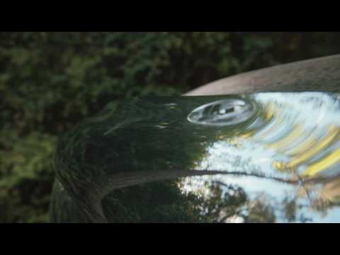 Stone/Bug Deflectors