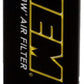 AEM 13-20 Nissan Sentra 1.8L DryFlow Air Filter