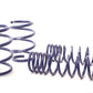 H&R 96-03 BMW 540i E39 Race Spring (Non Touring & w/o Sport Susp.)