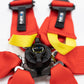 NRG FIA 6pt 2in. Shoulder Belt for HANS Device/ Rotary Cam Lock Buckle/ 3in. Waist Belt - Red