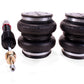 Air Lift Performance Rear Kit for 18-19 Honda Accord