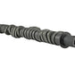 Skunk2 Tuner Series D-Series Honda Stage 4 Camshaft