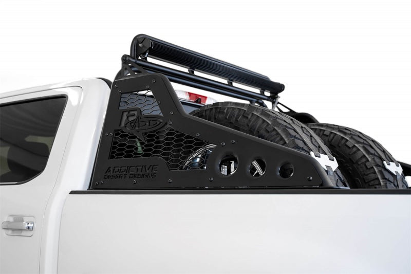 Desert Designs 17-21 Ford Super Duty Race Series Chase Rack