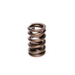 COMP Cams Valve Spring 1.250in Ovate Wir
