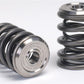 Skunk2 Alpha Series Honda/Acura B Series Valve Spring and Titanium Retainer Kit