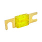 Snow 100 Amp Fuse