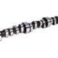 COMP Cams Camshaft Gm38 246HR10