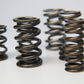 Ferrea 1.600in to 1.650in Dia 1.080/1.625 OD 0.767/1.189 ID Dual w/Damper Valve Spring - Set of 16