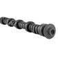 Skunk2 Tuner Series 06-11 Honda Civic Coupe/Sedan R18 Stage 2 Cam Shafts