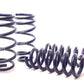 H&R 11-14 Dodge Charger RT (2WD) RT MAX V8 Sport Spring