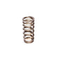 COMP Cams Valve Spring Ford 4.6L 4 Valve