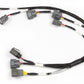 Haltech Nissan RB Twin Cam (Late Model) Ignition Sub-Harness