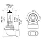 Hella Bulb H10/9145 12V 45W Py20D T4
