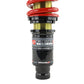 Skunk2 96-00 Honda Civic Pro-ST Coilovers (Front 10 kg/mm - Rear 10 kg/mm)