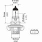 Hella Bulb H13 12V 60/55W P264T T4 +50 (2)