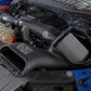 aFe 17-20 Ford F-150/Raptor Track Series Carbon Fiber Cold Air Intake System With Pro DRY S Filters