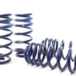 H&R 18-21 Audi Q5 Premium/Q5 Premium Plus/Q5 Prestige (AWD) FY Super Sport Spring