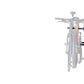 Rhino-Rack Spare Wheel Bike Carrier