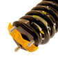 KYB Shocks & Struts Strut Plus Front Right Dodge Ram 1500 06-08