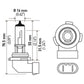 Hella H10 12V 42W Xen White Bulb (Pair)