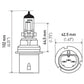 Hella Bulb HB1 9004 12V 100/80W XEN WHT XB (2)