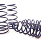 H&R 04-11 Chevrolet Aveo Sport Spring