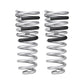 Eibach 14-21 Ram 2500 Diesel 4WD Pro-Truck Rear Springs