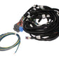 FAST Wiring Harness Main LS1LS2L